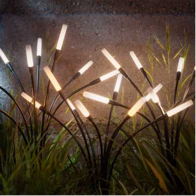 Solar Garden Lights